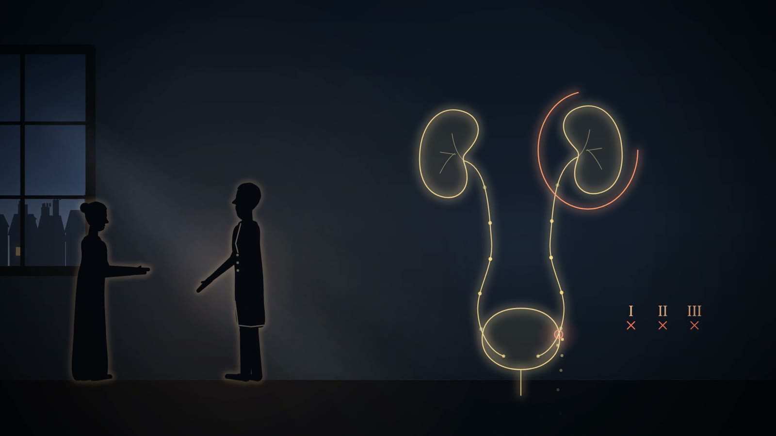 Gold-line kidneys, ureters and bladder with one kidney circled in red and tally marks I, II and III, beside two silhouetted figures by a window.