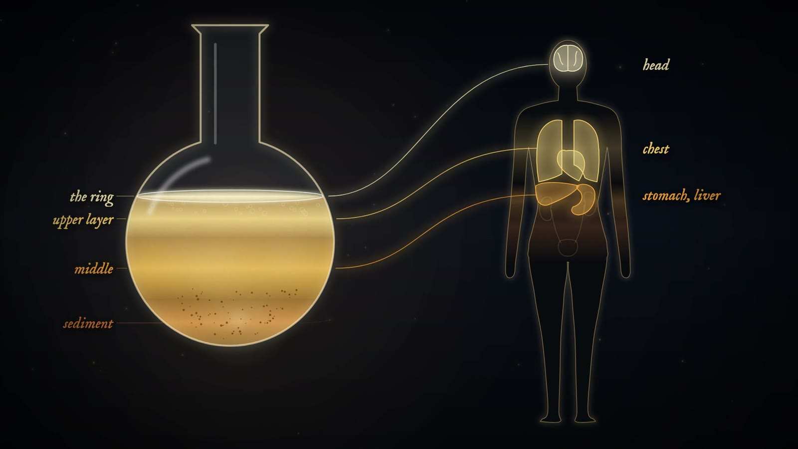 Round flask of layered urine labelled the ring, upper layer, middle and sediment, linked by lines to a human outline lit at head, chest, and stomach and liver.